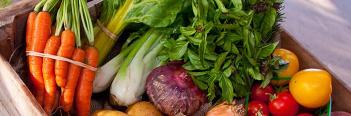 20100721_ntc_farm_story_0312